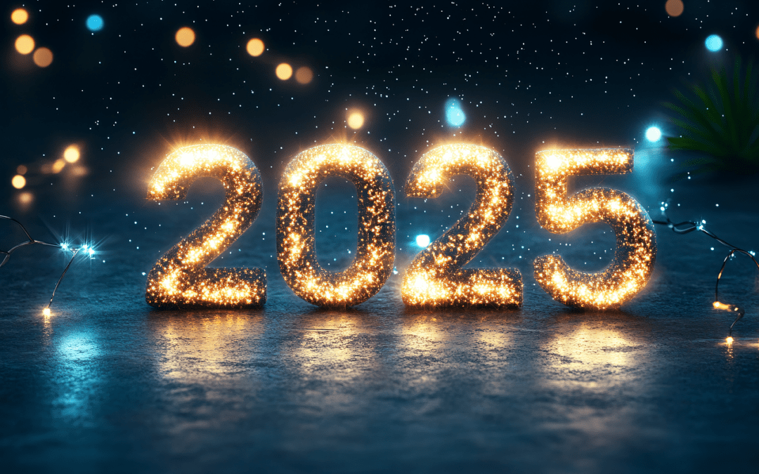 Bonne année 2025 !